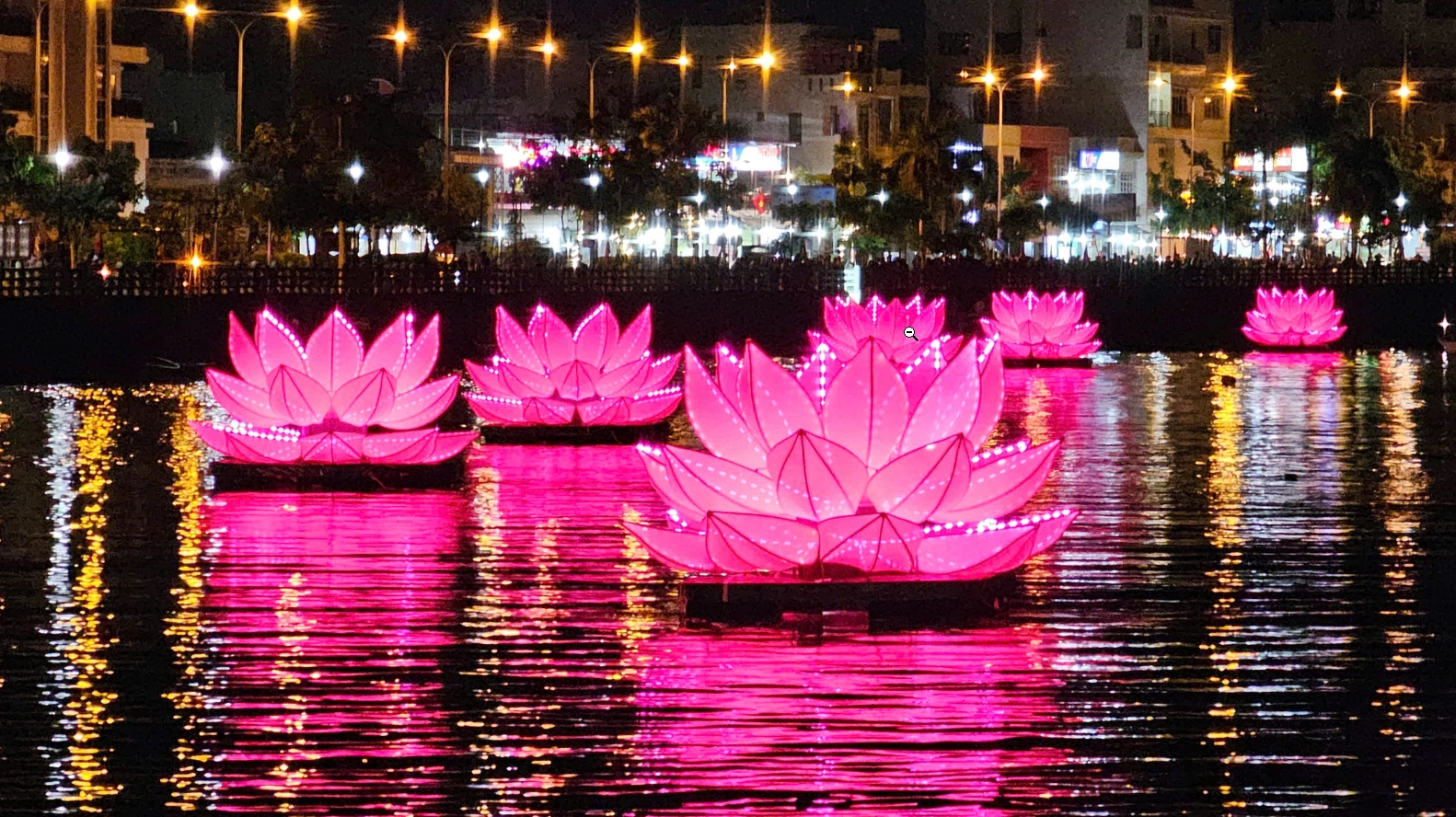 7 đóa sen khổng lồ Vesak